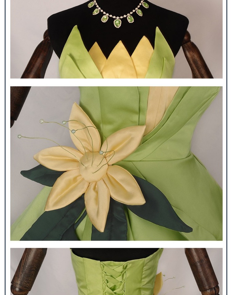 Robe de princesse Tiana, Costu - Women Knight Accessories avis et prix